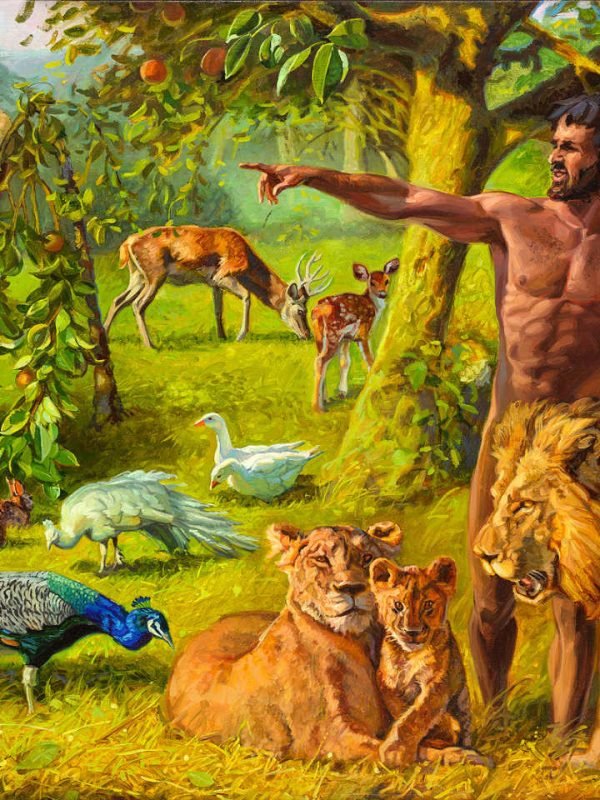 கடவுளின் திட்டத்தில் மனிதன்